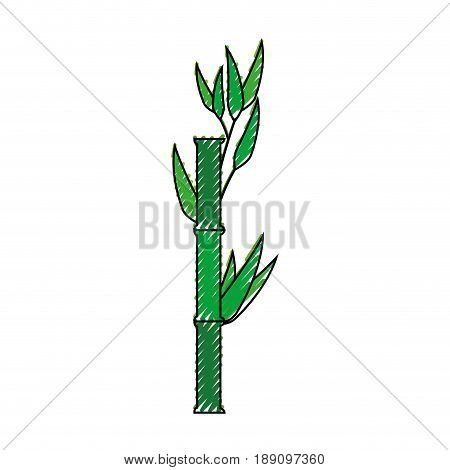 Bamboo japanese plant icon vector illustration graphic design