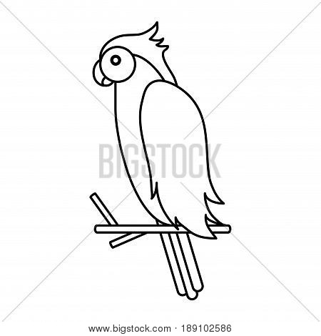 tucan draw illustration icon vector design graphic