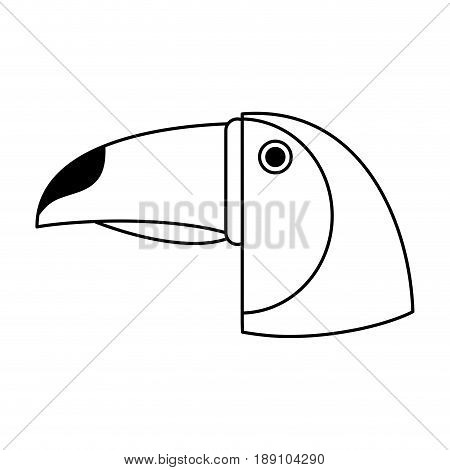 tucan draw illustration icon vector design graphic
