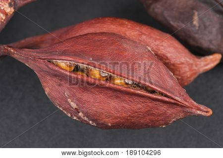 dry pipal seeds in shell against black background, close-up