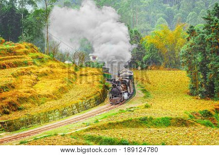 Steam narrow-gauge train moves from Yuejin to Bagou through the chinese countryside. Jiayang Mining Region. Sichuan province. China