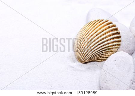 summer season decotion on white sand beach