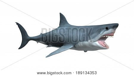3D Rendering Great White Shark On White