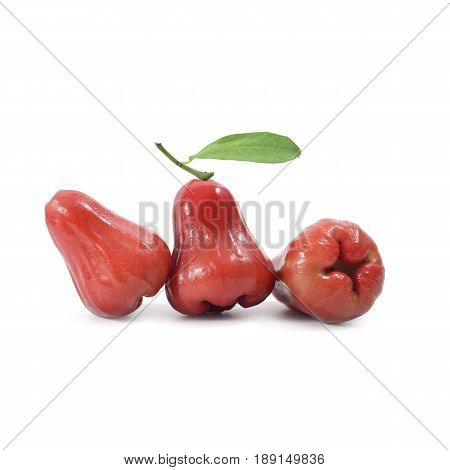 Tropical Fruit ; Fresh Roseapple Isolated On White Background