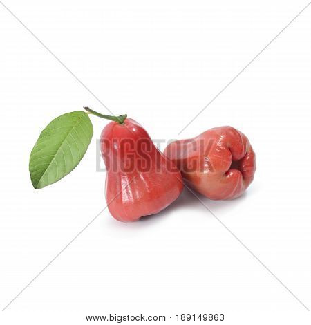 Tropical Fruit ; Fresh Roseapple Isolated On White Background