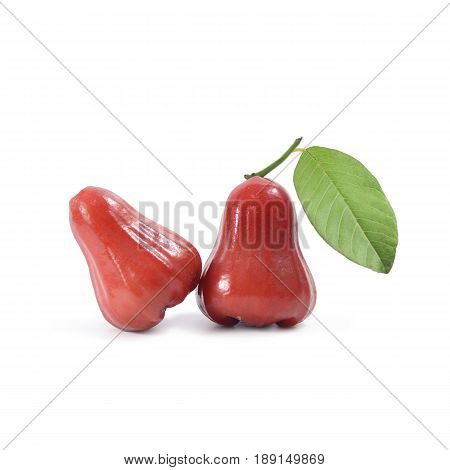 Tropical Fruit ; Fresh Roseapple Isolated On White Background