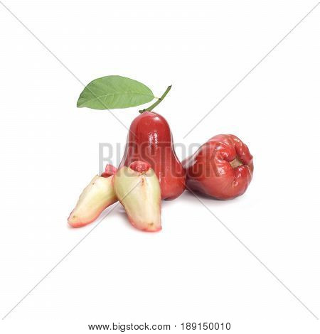Tropical Fruit ; Fresh Roseapple Isolated On White Background