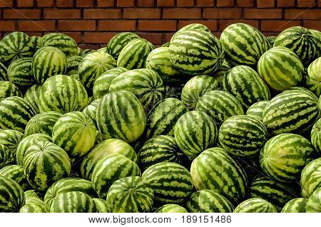 Watermelons striped, ripe near a brick wall