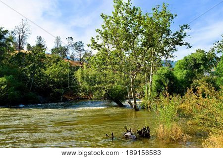 Kern River overflowing its banks from the Sierra Nevada Mountains snowmelt during spring taken in Kern County, CA