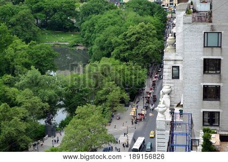 The pond in South Central Park viewed from overhead