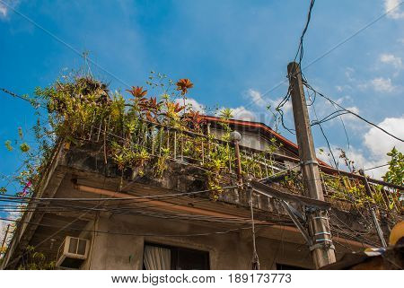 Local Street With Houses In The Philippines Capital Manila.balcony With Flowers