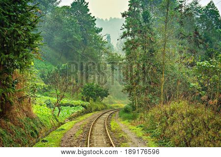 Steam narrow-gauge railway from Yuejin to Bagou. Jiayang Mining Region. Sichuan province. China.