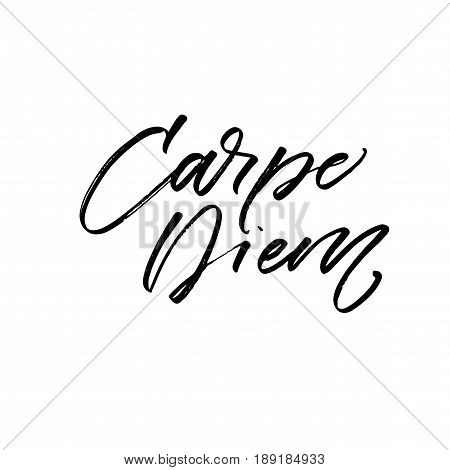 Capture the moment in latin. Carpe diem card. Ink illustration. Modern brush calligraphy. Isolated on white background.