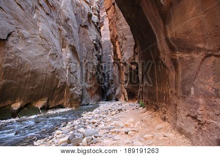 Epic Narrows hike in Zion National Park