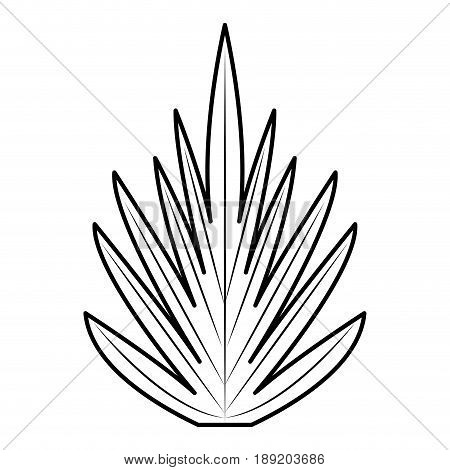 tropical leaves nature foliage flora botany icon vector illustration