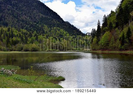 Small tranquil lake / pond on German Alpine Road, Bavaria, Germany