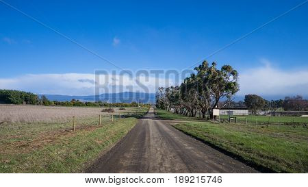 Rural road near Longford in Northern Tasmania Australia.
