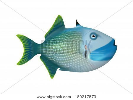3D Rendering Trigger Fish On White