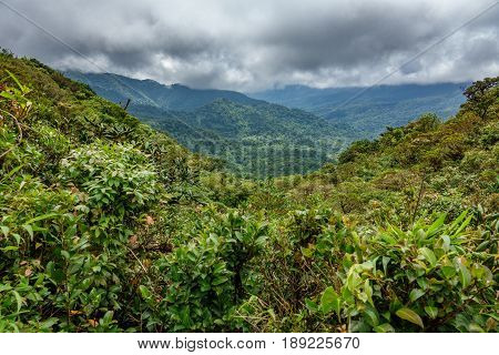 Wide panorama of cloud forest covering Reserva Biologica Bosque Nuboso Monteverde in Costa Rica