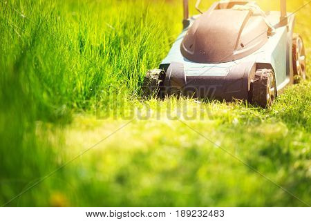 Grass cutter mowing the lawn in summer