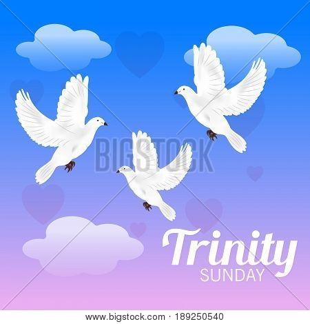 Trinity Sunday_30_mayl_02