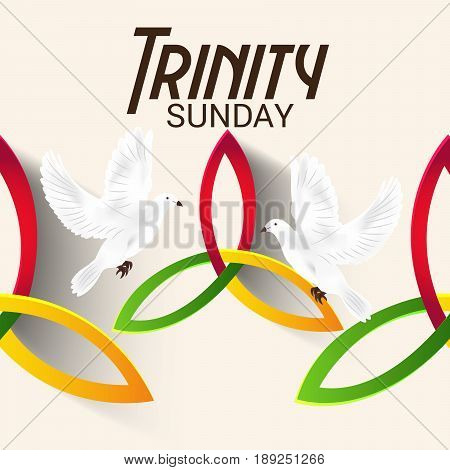 Trinity Sunday_30_mayl_19