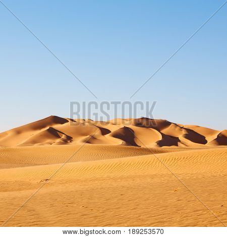 In Oman Old Desert  Rub Al Khali The Empty  Quarter And Outdoor  Sand Dune