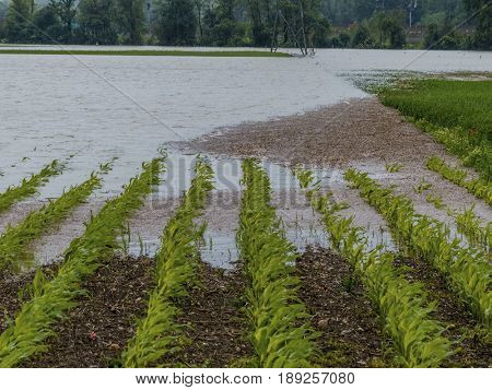 flood 2013