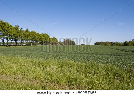 Landscape in spring in Fyn in Denmark