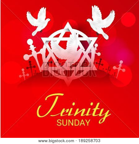 Trinity Sunday_30_mayl_32