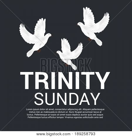 Trinity Sunday_30_mayl_40