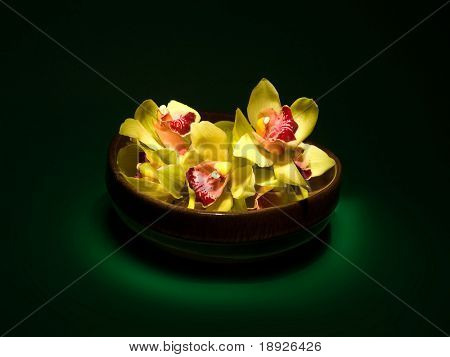 orkideer i en vase