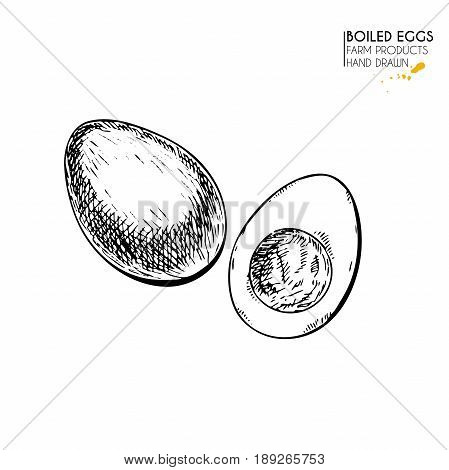 Vector hand drawn set of farm products. Isolated hen boiled egg. Engraved art. Organic sketched farming meal. Use for restaurant, breackfast menu, grocery, market, store, party