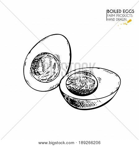 Vector hand drawn set of farm products. Isolated hen boiled egg. Engraved art. Organic sketched farming meal. Use for restaurant, breackfast menu, grocery, market, store, party