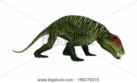3D Rendering Dinosaur Doliosauriscus On White