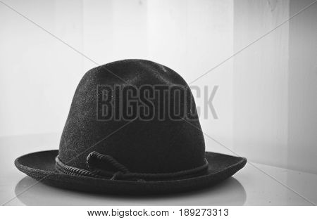 Hat posing for the camera, picture in black and white