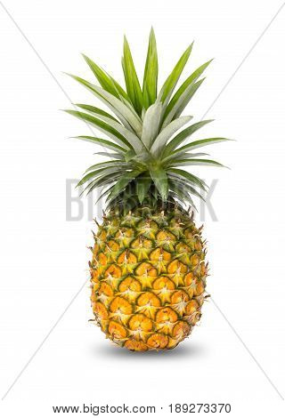 Full Pinapple isolated on white background with shadow