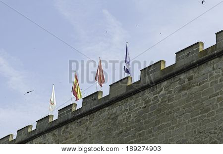 Fortification Stone