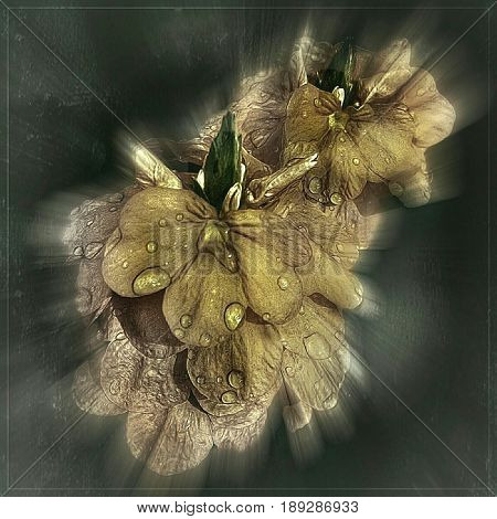 Dream representation of a bouquet of wild flowers