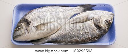 Dorado, Sparus, Bream Fish, Mediterranean Diet