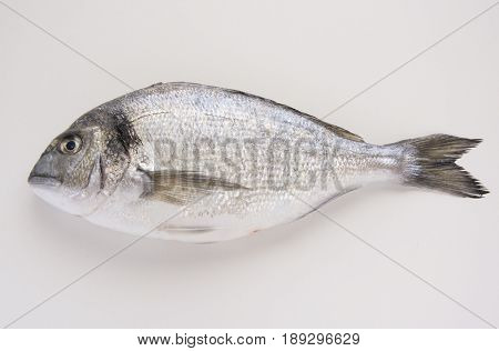 Dorado, Sparus, Bream Fish, Mediterranean Diet