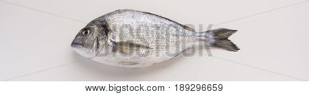 Dorado, Sparus, Bream Fish, Mediterranean Diet