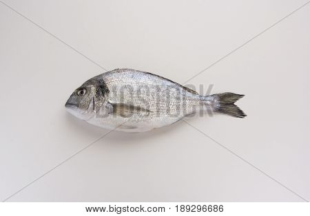 Dorado, Sparus, Bream Fish, Mediterranean Diet