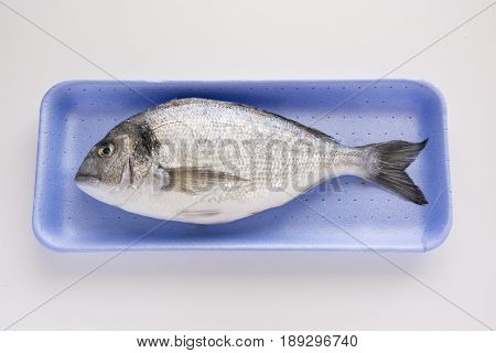 Dorado, Sparus, Bream Fish, Mediterranean Diet