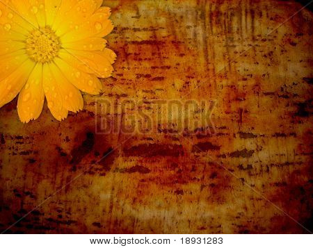 blomst & gamle rustne baggrund