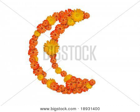 isolated half moon symbol