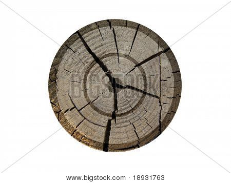 Destino madeira velho