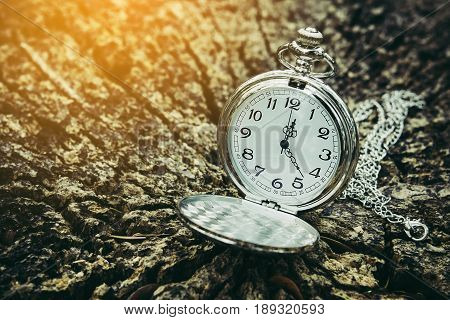 Pocket watch on an old tree stump