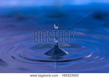 Water drops and water ripples on blue purple background