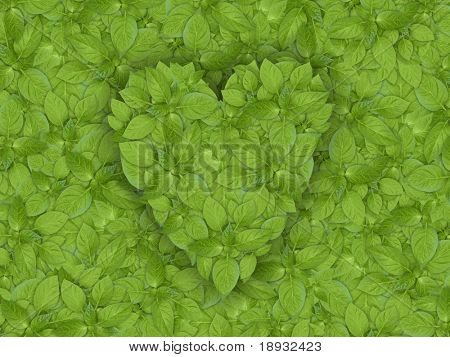 green plant heart